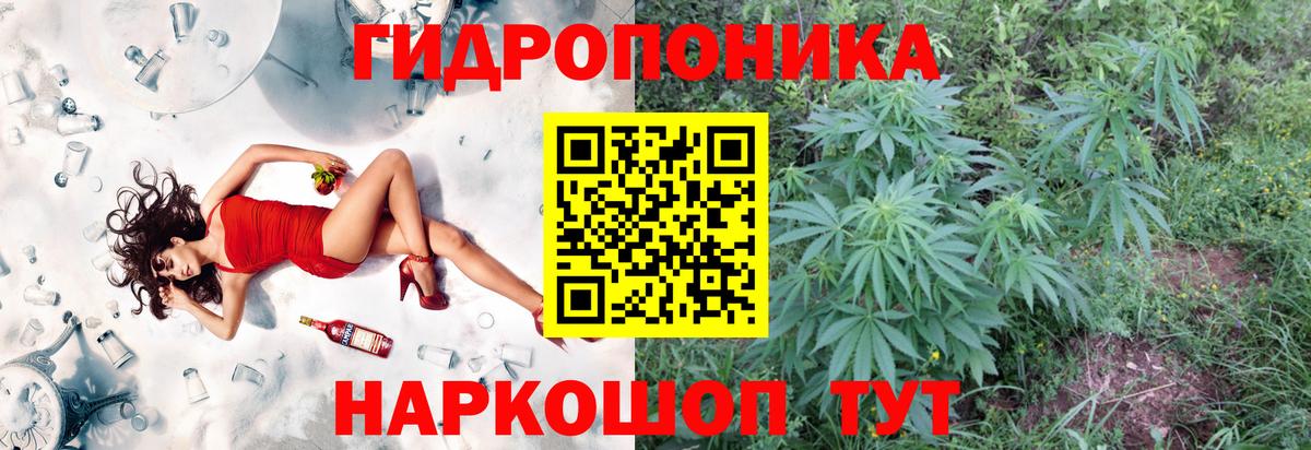 Краснодар  Канабис гибрид  Бошки марихуана VHQ  Вход с VPN  Канабис Amnesia 